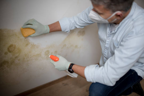 Vancouver, WA Mold Remediation Company